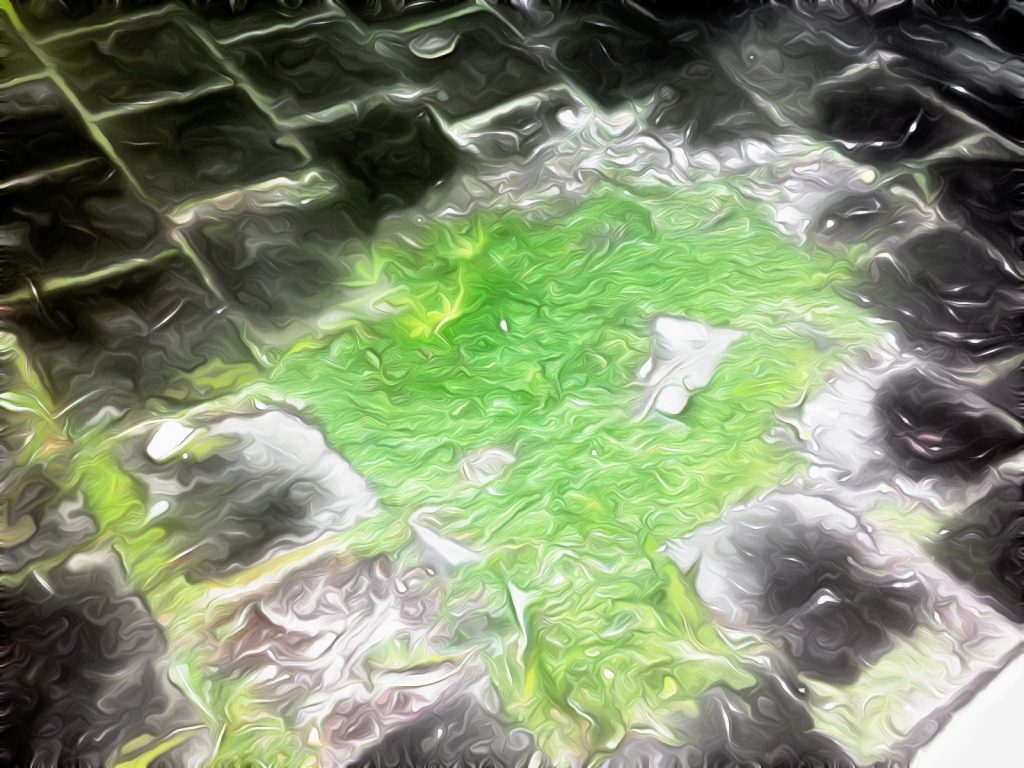 20100520164_2