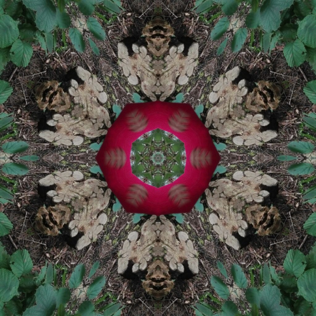 442_mirror