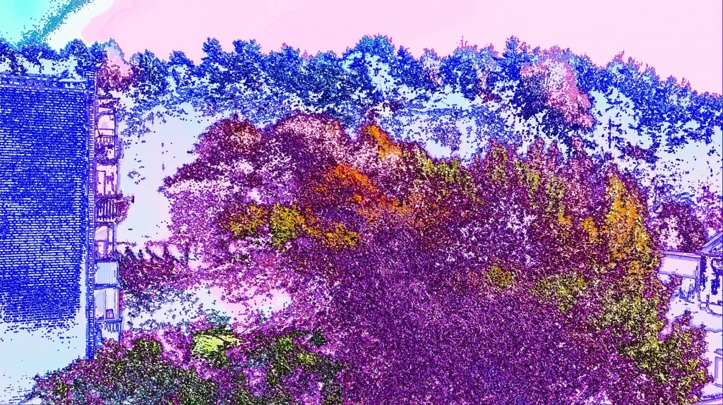 AdobePhotoshopExpress_4a98dc4a8ba248ae9985cc9a120d5e40