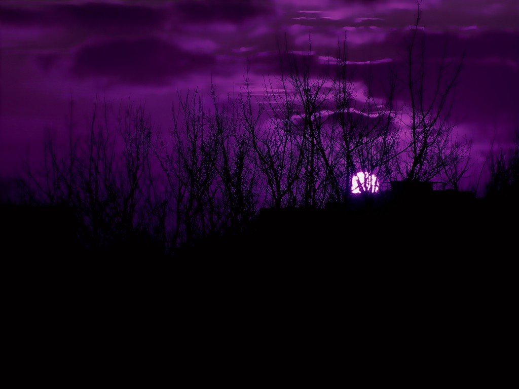DSCN0264