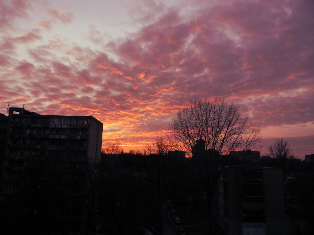 DSCN0636
