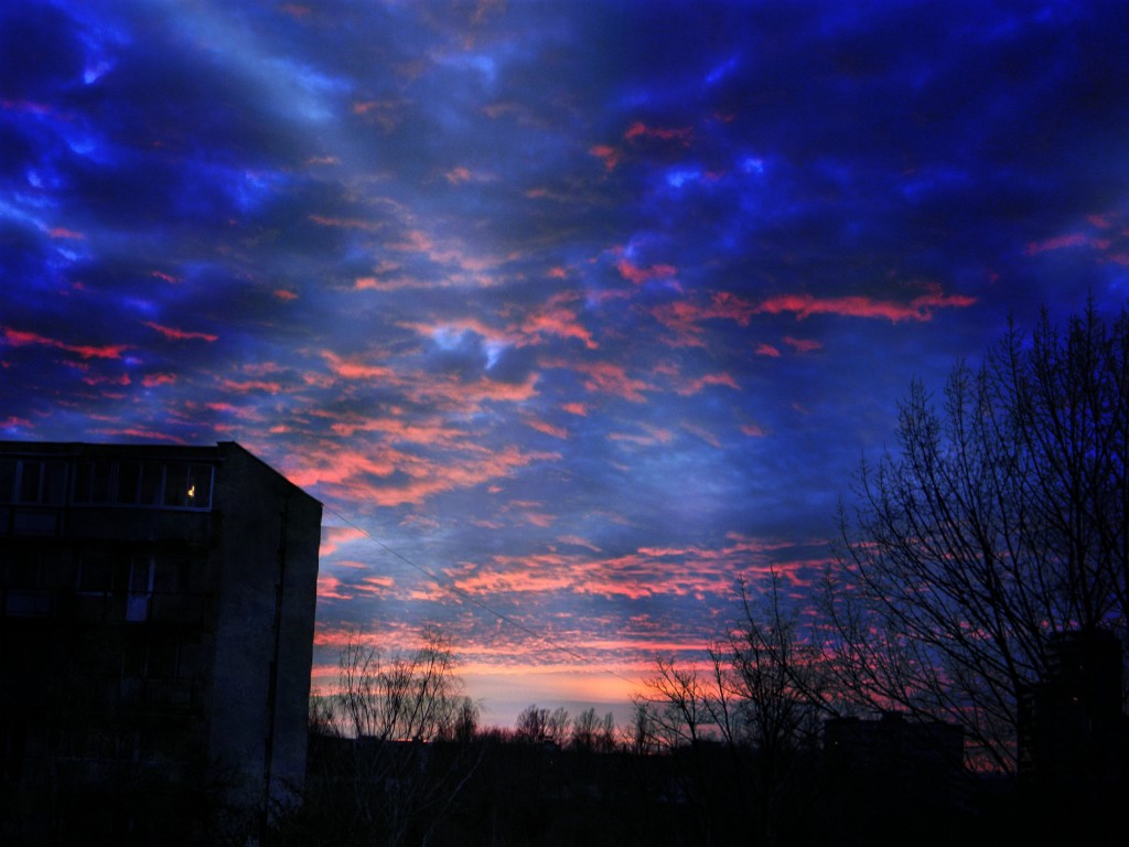 DSCN0653