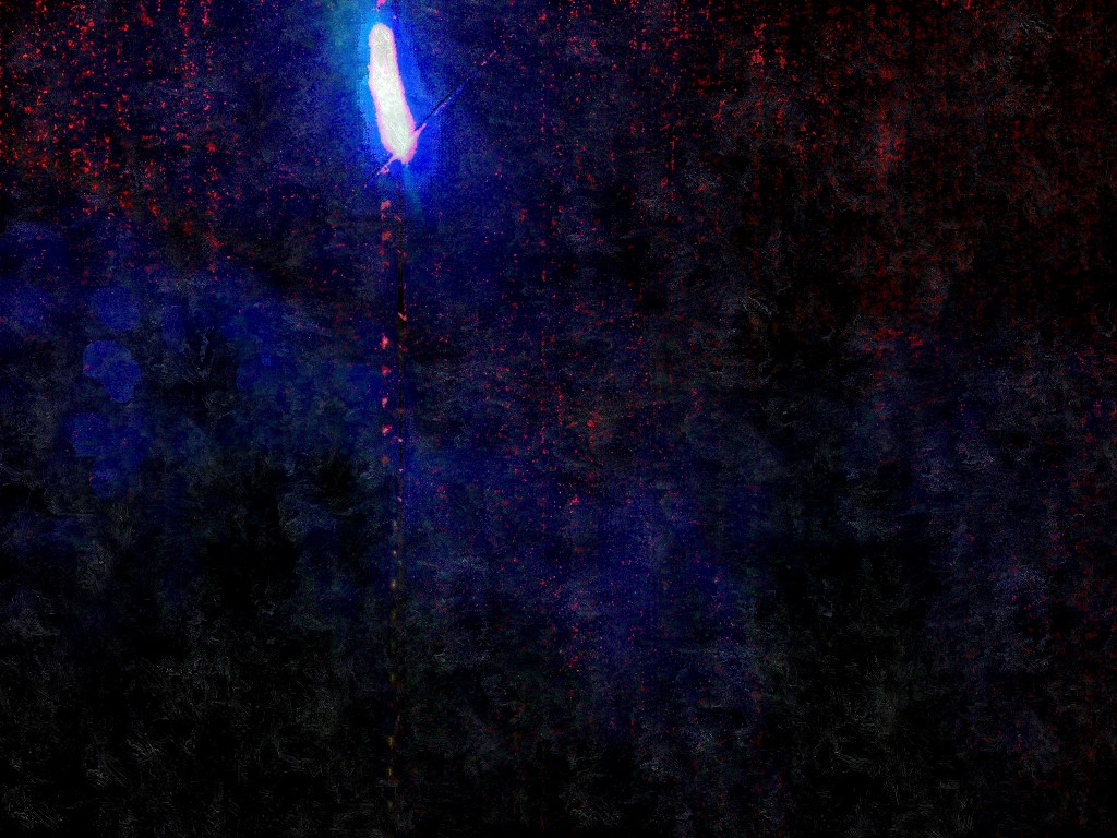 DSCN0685