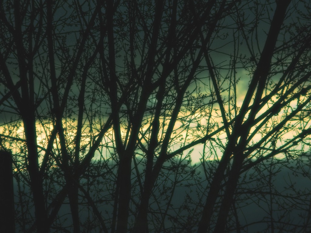 DSCN1136edit1