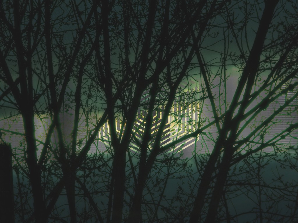 DSCN1136edit2