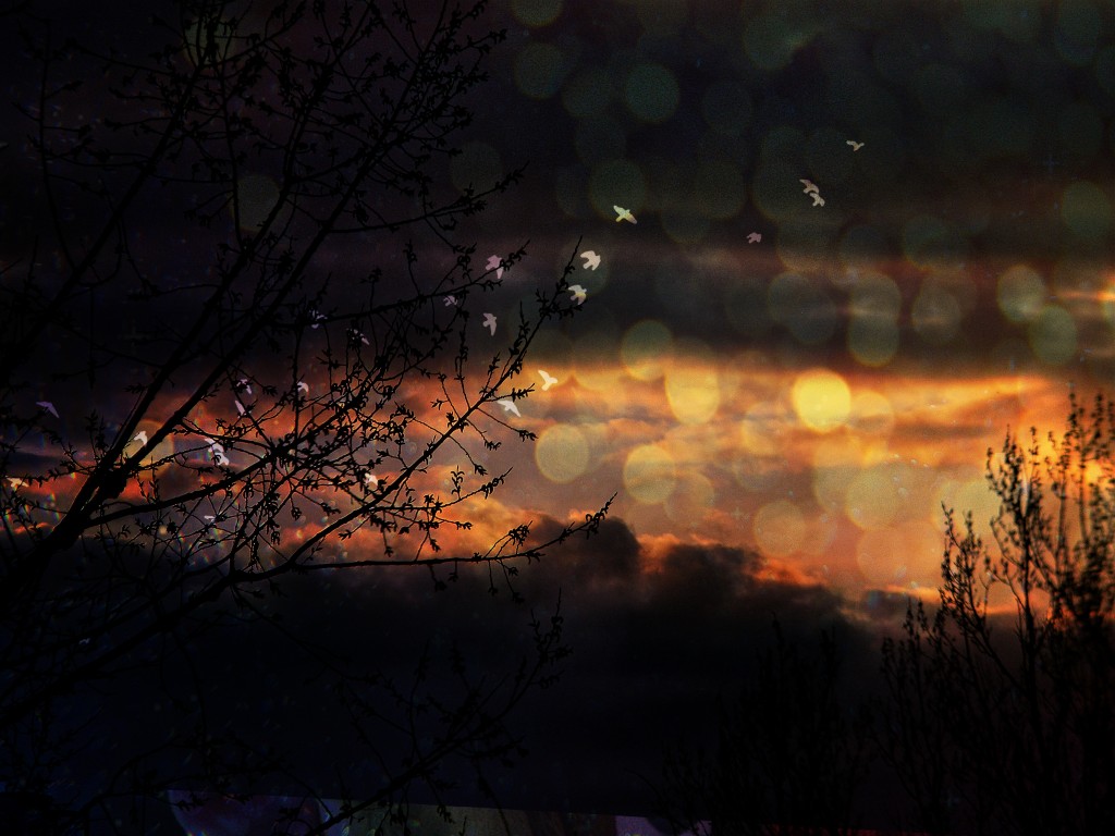 DSCN1142edit2