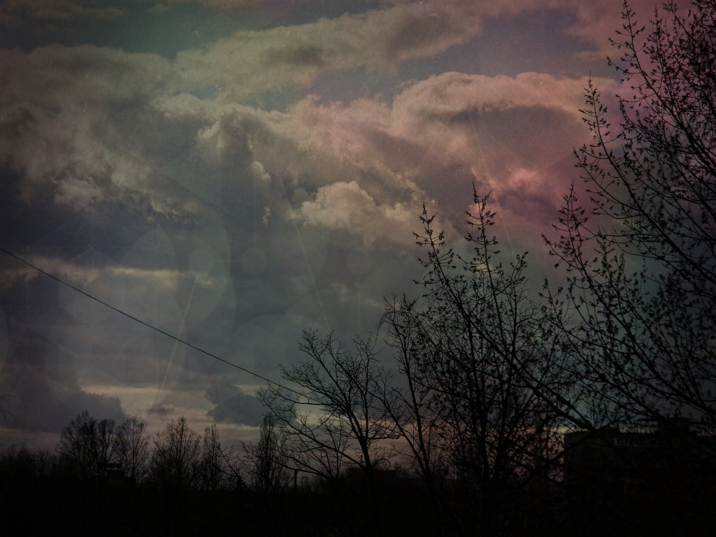 DSCN1156