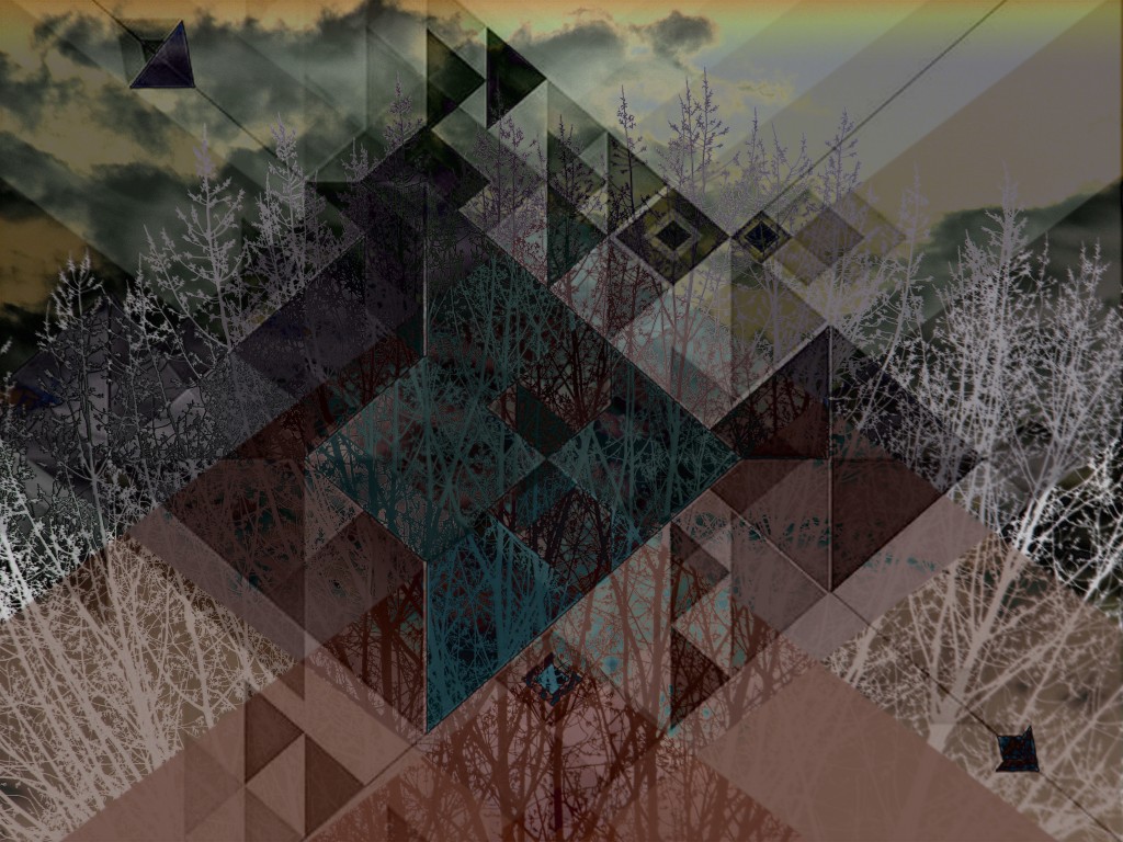 DSCN1160