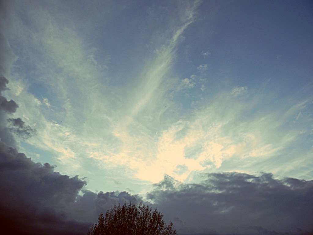 DSCN1283