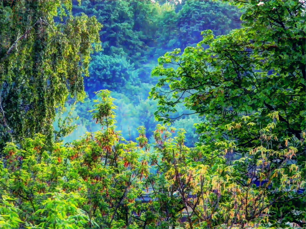 DSCN1420_2_fused