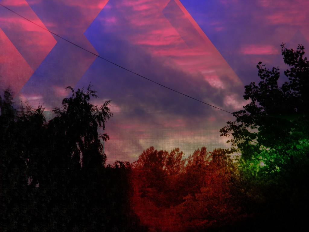 DSCN2040