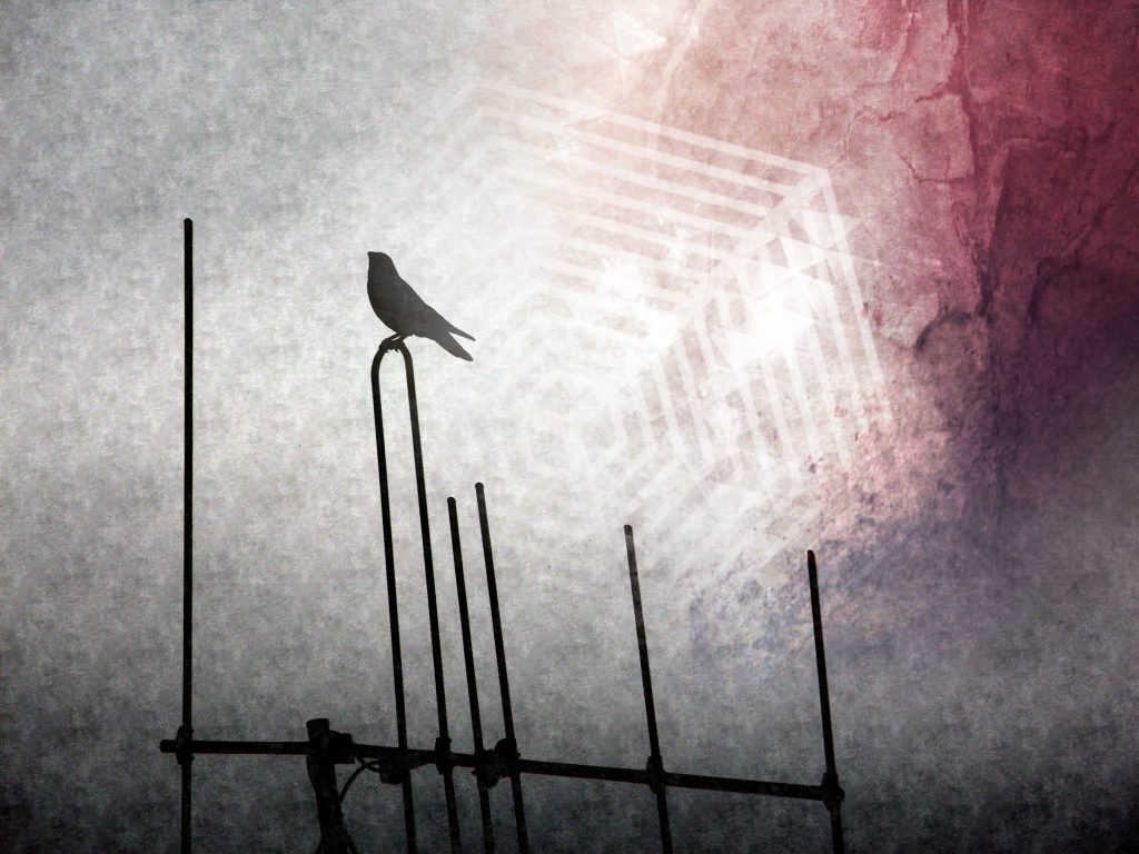 DSCN2853edit