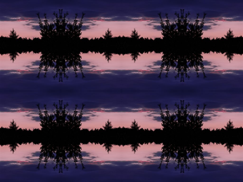 DSCN3314