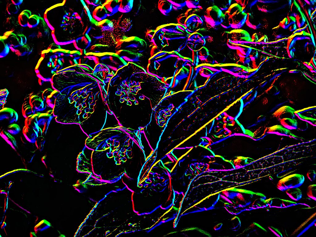 DSCN3415edit1