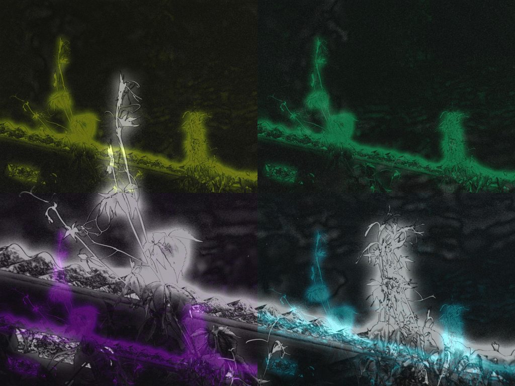DSCN3417edit1