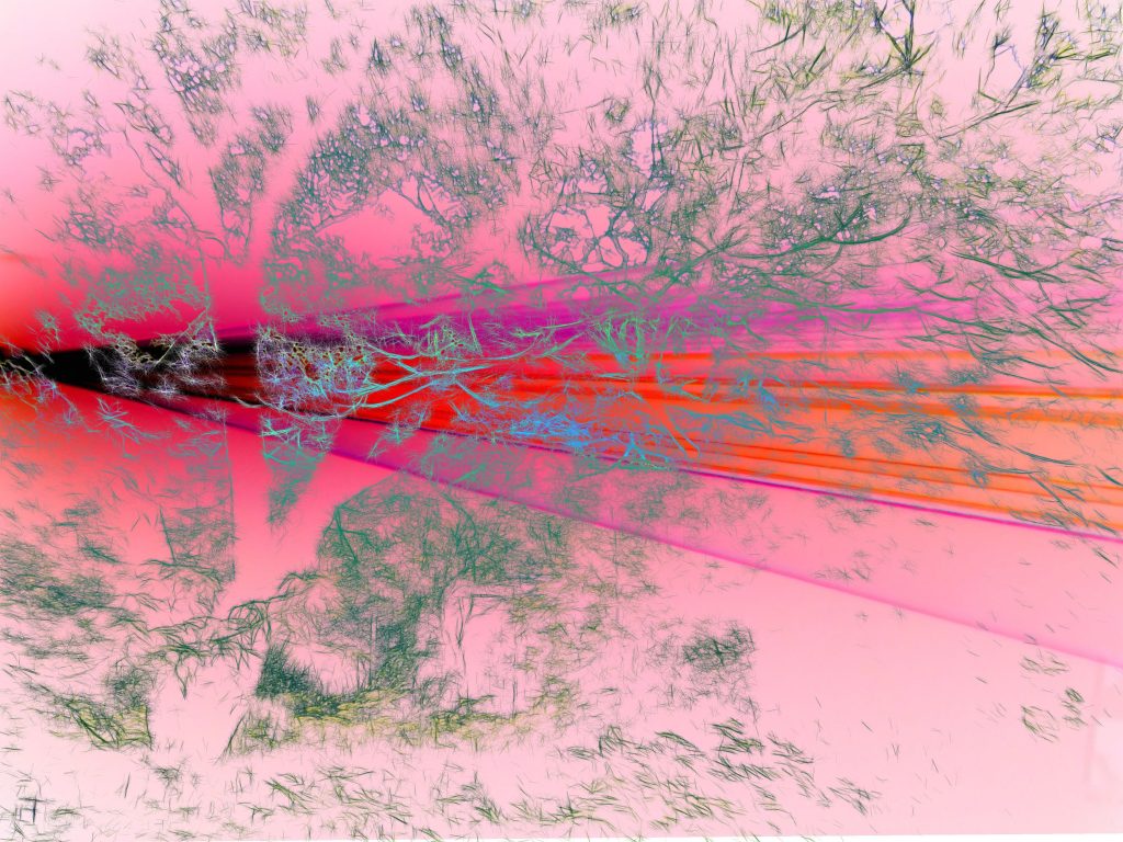 DSCN3760edit1