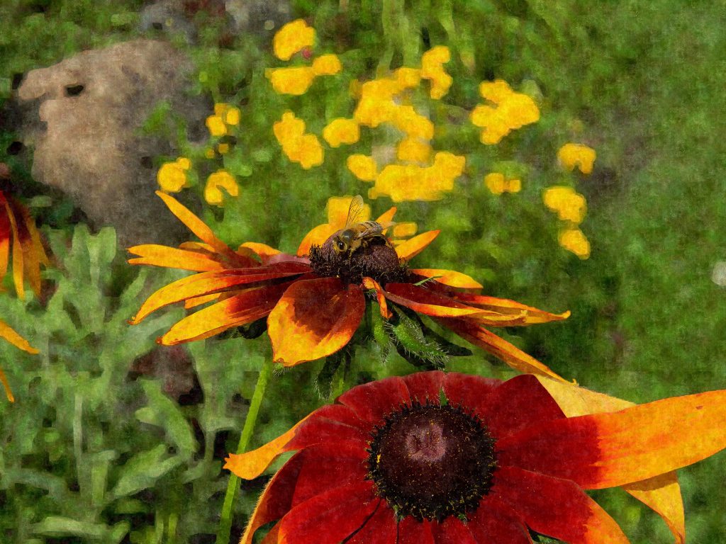 DSCN4005edit1