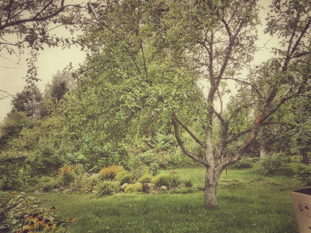 Ultimate_HDR_Camera_20160801_175938-01