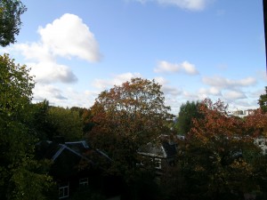 DSCN6187